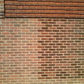 DSC00458 _Medium__001.JPG